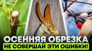 99% садоводов совершают эти ошибки при обрезке растений