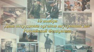 День сотрудника ОВД РФ. 2025 год