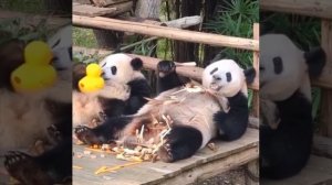 А как проходят ваши выходные?