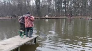 Поимки форели на разные виды снастей. Клёвое место, Лосиный остров, верхний водоём.