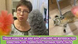 Наши новости за два дня. Отвечаю на вопросы про квартиру, как правильно пипидастрить пыль и кота