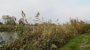 09=11=2025  ник  ТЭЦ   (72)