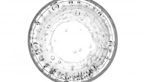 Всемирный день науки. Такое утро