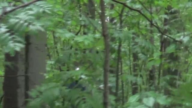 Что происходит ? #ролевыеигры #ролевики #исб