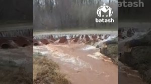 Бобры перекрыли трубы на переправе в Ишимбае и устроили потоп