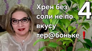 Хрен без соли не по вкусу тер@боньке!