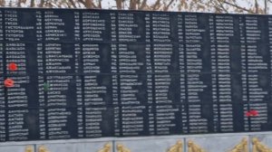 В посёлке Чаны, Новосибирской области. 9 ноября 2025 год.