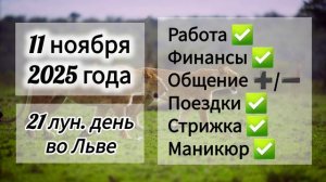 Лунный день 11 ноября 2025 года, гороскоп дня