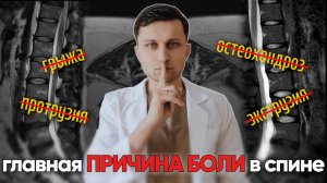 Вот, что на самом деле болит в спине. Забудьте про остеохондроз, грыжи и протрузии