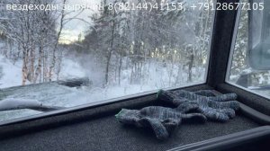 Глубокий овраг.