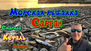 Что можно поймать в ноябре в Черном море