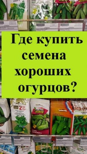 Отличные сорта и гибриды ОГУРЦОВ здесь найдете по смешной цене!