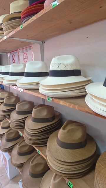 Символ Панамы шляпа?