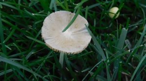 15=10=2025  ник  ХБК  ПВН   (1)