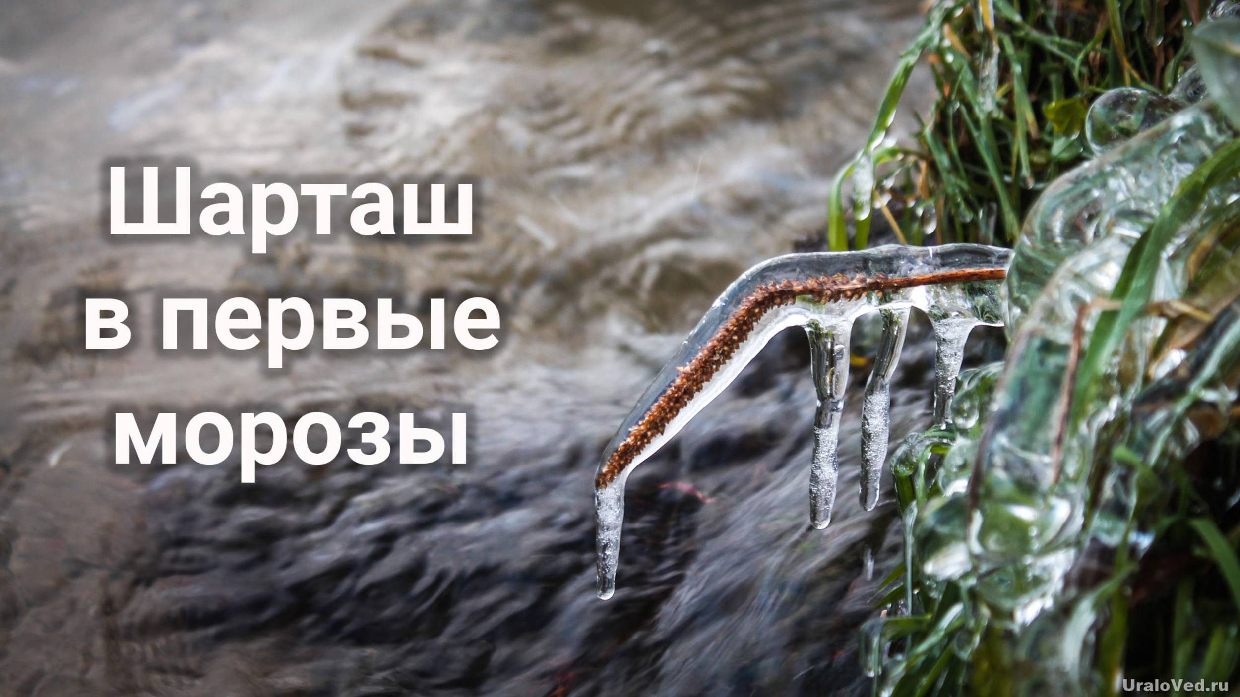 Озеро Шарташ. Первые морозы | Ураловед