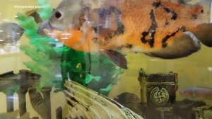 Аквариум в Торговом центре