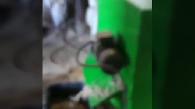 Видео работы охладителя гранул