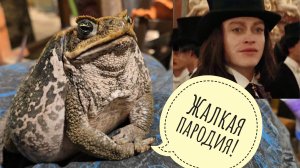 Хитрые сороки объедают сов. Жаба Брунгильда показывает характер и ужинает цыплятами