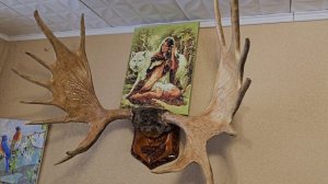 Флотская атрибутика,рога и домашние дела.