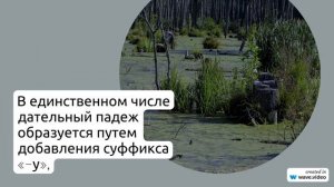 Исследование фамилии Асташкова: происхождение, история и особенности склонения этой фамилии