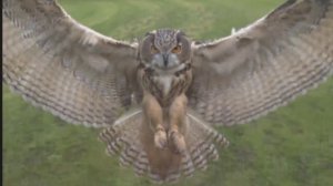 Наш Бог благ и милостив