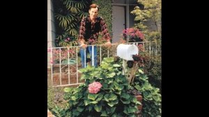 Джэймс Вуд ( James Wood )