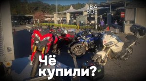 Чё купили? Тигриные стаи