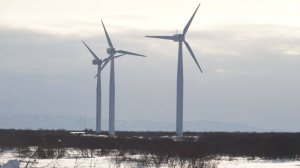 РАЗОБЛАЧЕНИЕ КОРРУПЦИОНЕРА