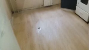 Квартира 181 Чертановская 2025