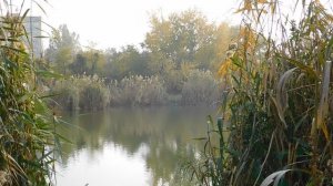 09=11=2025  ник  ТЭЦ   (86)