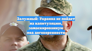 Залужный: Украина не пойдет на капитуляцию, замаскированную под договоренности