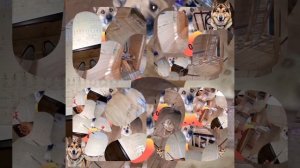 1000039774.mp4 (Собака смотрит на монтаж электропроводки ( по аварийным ситуациям ) в доме А-фрейм)