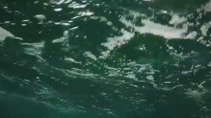 КОШМАР ПАССАЖИРА КРУИЗНЫЙ ЛАЙНЕР В 12 БАЛЬНЫЙ ШТОРМ .