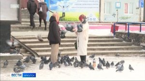 Глава СКР Александр Бастрыкин запросил доклад по делу о массовом отравлении в Усть-Илимске