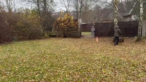 3.  выражено/перв АММАЛИЕН ФЕЛИЦИЯ (Rome del Castello Fienga – Аммалиен Итака)