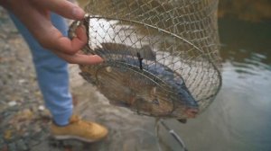 Отдых в кемпинге из контейнеров. Кемпинг "Созвездие Мангуп" Крым #крымудивляет