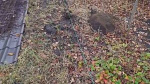 А где то в Белгородской обл.продолжают жить и трудиться.