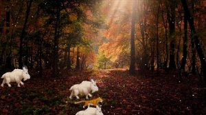 ФУТАЖ  ДЛЯ ВИДЕОМОНТАЖА