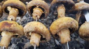 Александровка. Установка двери. Шашлычок из шампиньонов. Олег уехал в Рошаль.