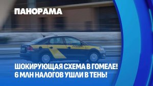 В Гомеле раскрыта схема уклонения от налогов на сумму более шести миллионов рублей. Панорама