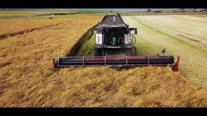 Уборка рапса в Дрожжановском районе