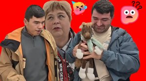 10-11-2025 Уралочка и её гарем 👯♀️— обзор на семейку фриков 👹.