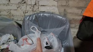 Дуб белый,посадка саженцев 👍💪🌳