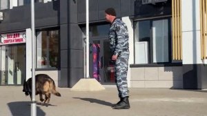 Полицейские Кабардино-Балкарии провели профориентационную акцию со студентами и кадетами