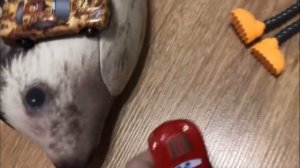 lMG_ 2 сезон побег из друга работы 2 серия