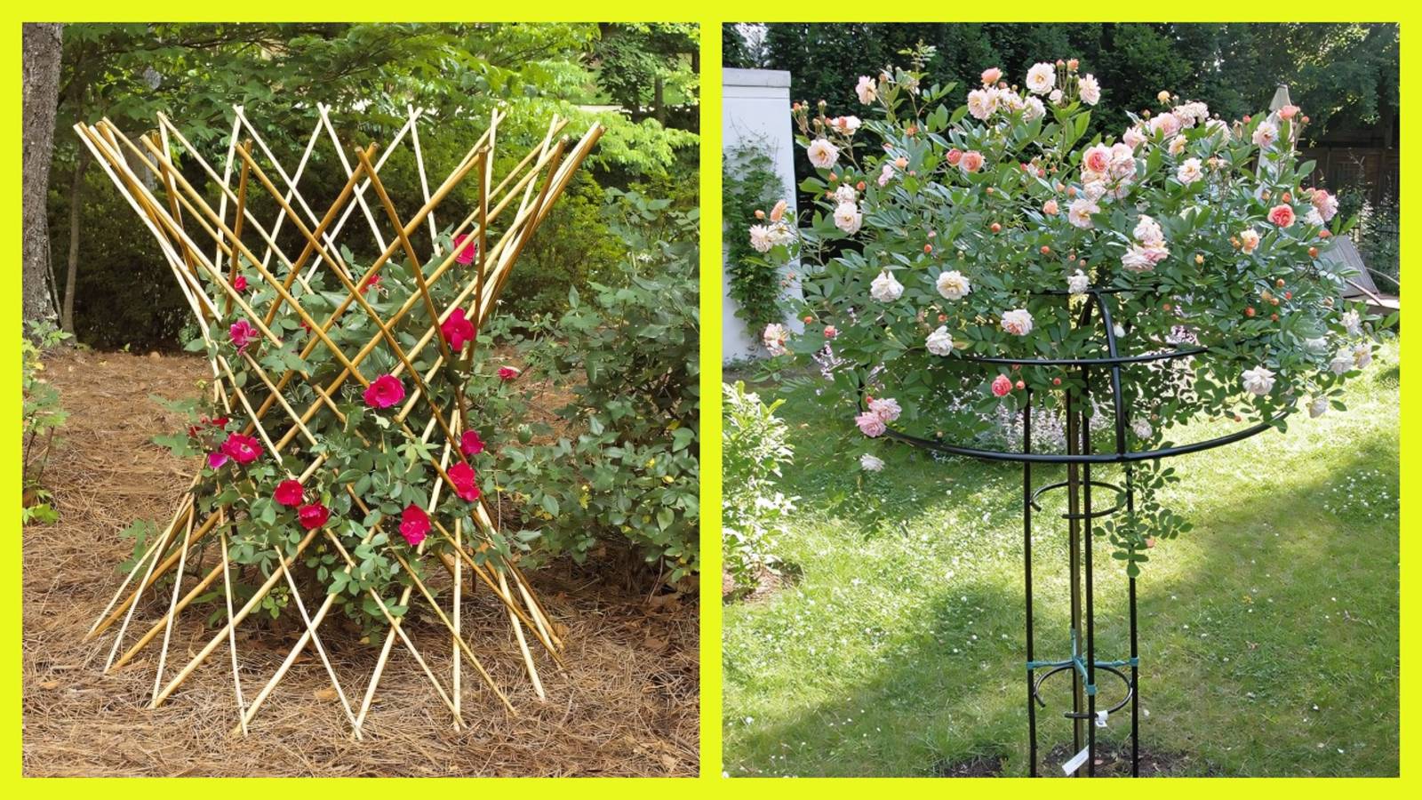 40 видов опор и подвязок для растений и кустов 🌾