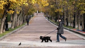 Синоптик спрогнозировала хорошую погоду в середине недели в Москве