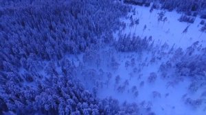 любовь моя поздняя