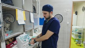 От передержки до интенсивной терапии: всё для здоровья вашего питомца!