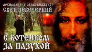 С КОТЕНКОМ ЗА ПАЗУХОЙ